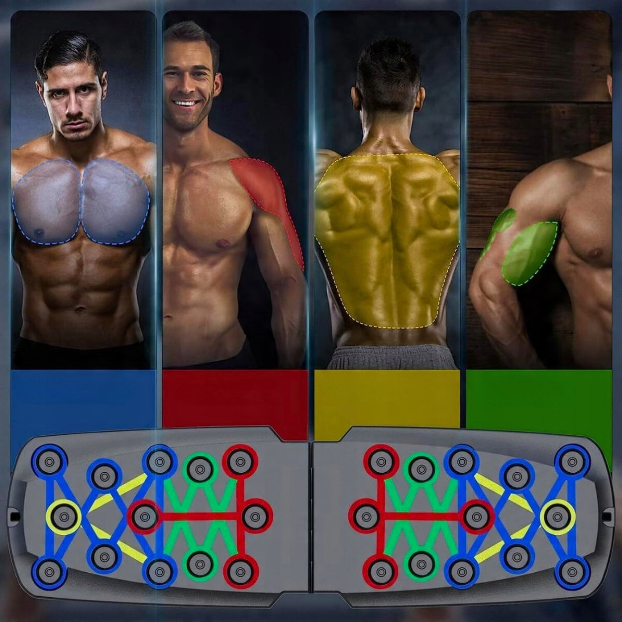Board exercise push-up handles PUSH UP multifunctional 16in1 + resistance rubbers